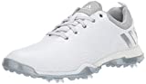 adidas Women's Adipower 4ORGED Golf Shoe, FTWR White/Silver Metallic/Clear Onix, 11 M US